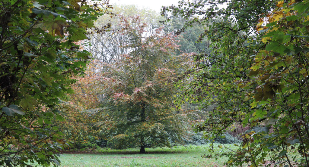 Bereid je gezondheid goed voor op de herfst