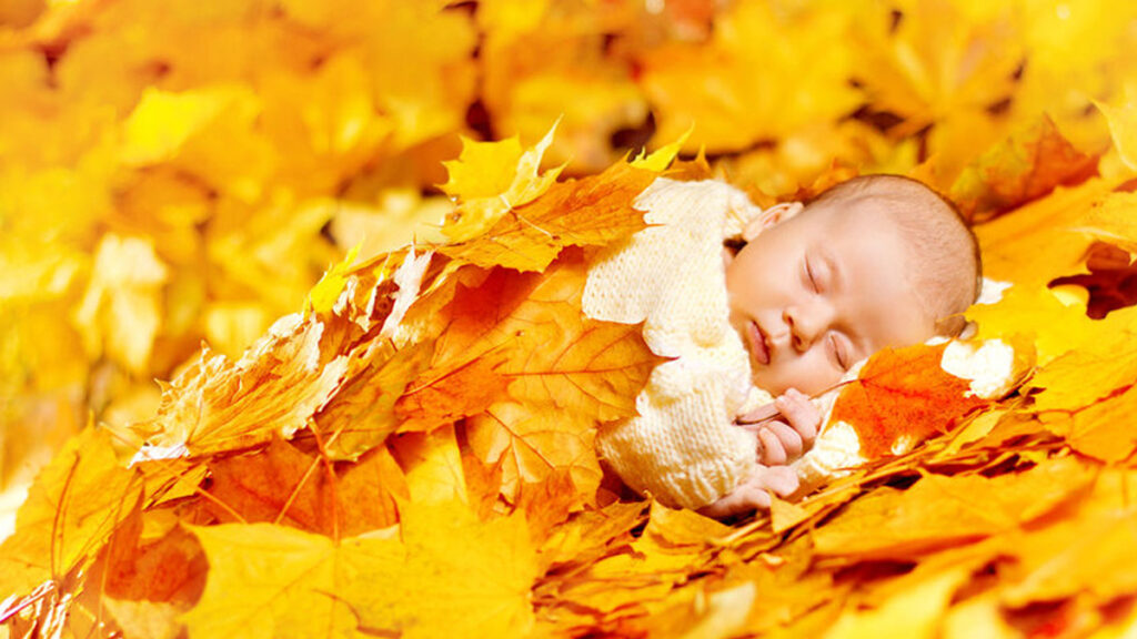 Herfstliedjes: De leukste herfstliedjes voor jong en oud!