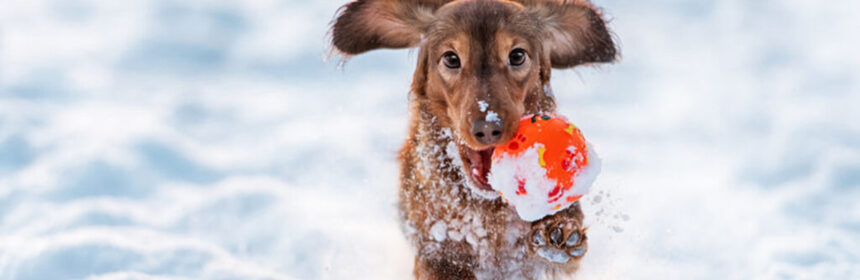 De risico’s van de winter. Waar moet je op letten?