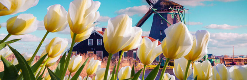 Vakantie in eigen land!