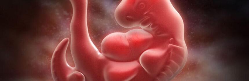 Innesteling in de baarmoeder