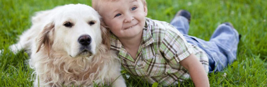 Zo verwen je een huisdier met Dierendag!