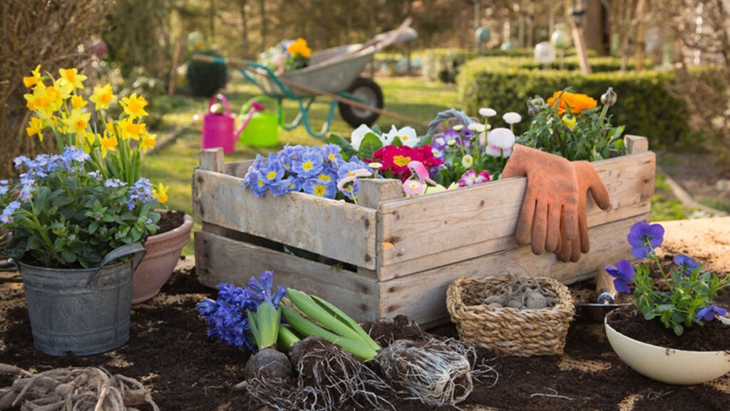 Grondspots plaatsen in de tuin: onze gouden tips