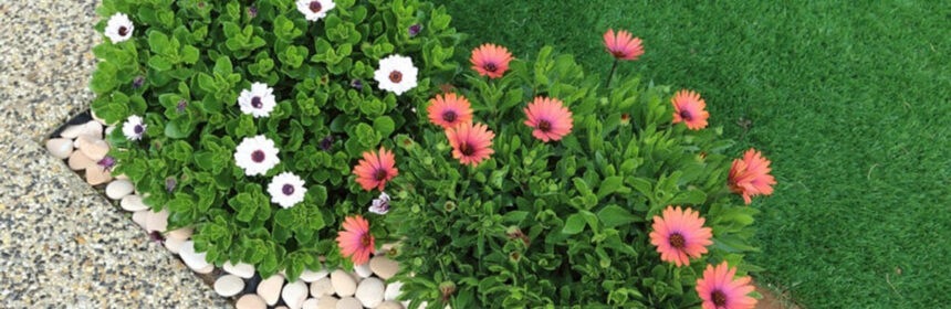 Kleine kinderen? Kies voor een kindvriendelijke tuin!