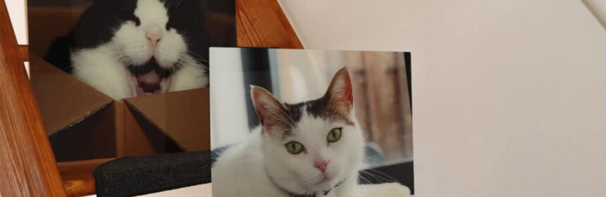 Tips om je thuiswerkruimte mooi te maken