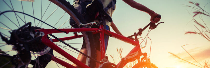 Fietsen met het gezin: dit zijn de mooiste fietsroutes in ons land