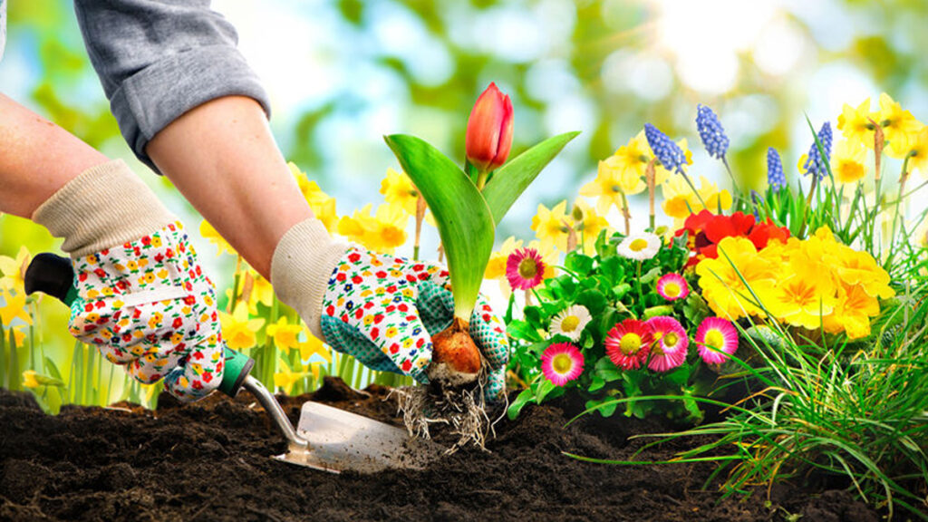 Maak je tuin lente-proof in 5 eenvoudige stappen