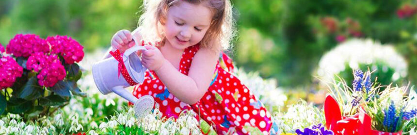 Moestuintje maken: Eten uit (en in) eigen tuin!