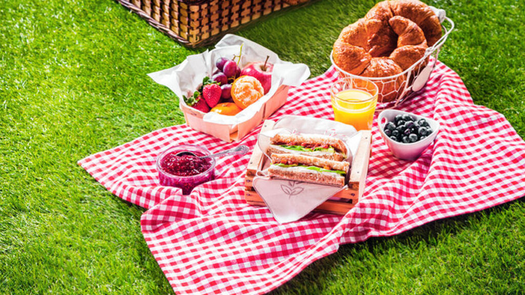 Machtigen vastleggen haar Tips voor een geslaagde picknick - Oudersenzo