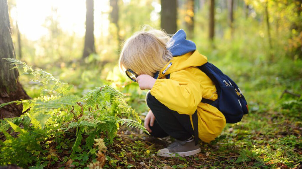 Wat mag je niet vergeten als je naar het bos gaat?