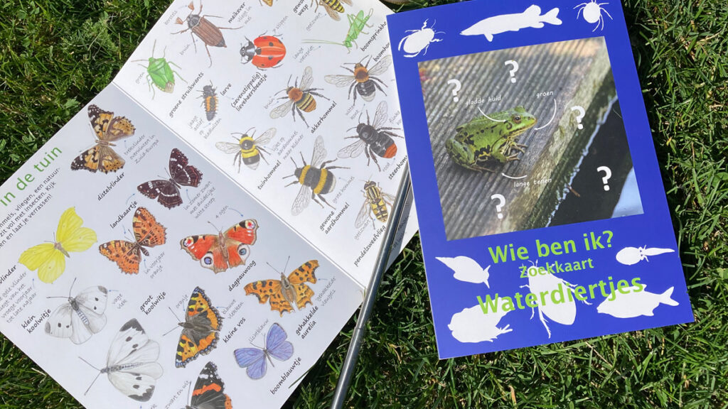 Kinderactiviteiten op Verwolde voor de leukste zomervakantie!