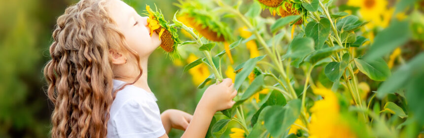 Hoe maak je een kindvriendelijke tuin?